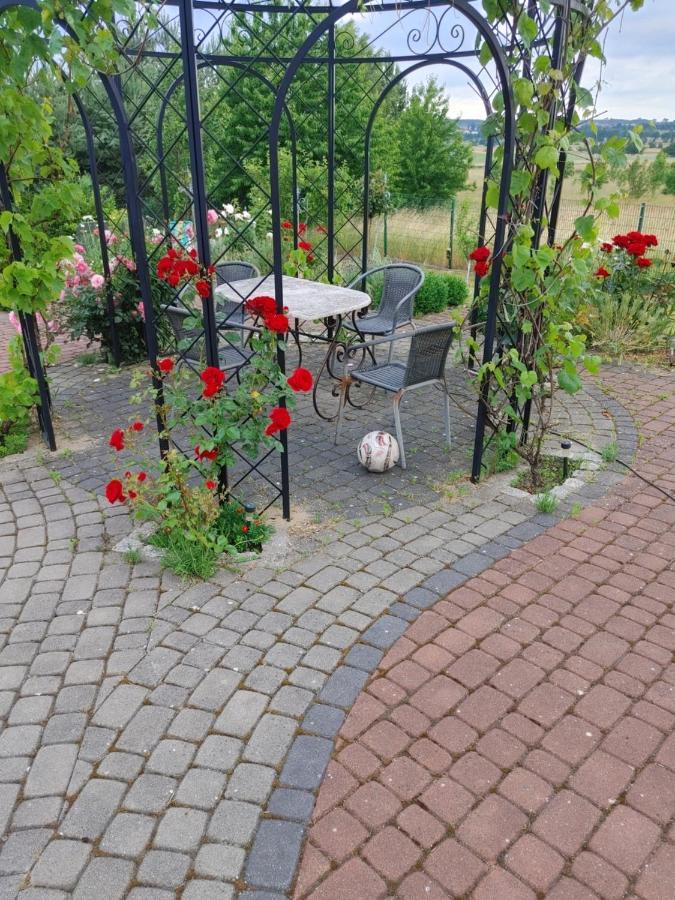Apartamentypomorze Białogóra Dış mekan fotoğraf